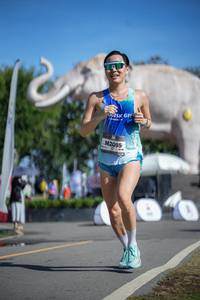 BIB: 
                            <button type="button" onclick="openModal(26541978)" class="btn btn-primary btn-sm float-right btn-popup" data-toggle="modal" data-target=".modal-high-quality">
                        <i class="fas fa-shopping-cart"></i> Add to Cart
                    </button>
                                            <button type="button" onclick="isThisMe(26541978, true)" class="btn btn-success btn-sm float-right btn-popup btn-isme hidden" data-toggle="tooltip" data-placement="bottom" title="นี่คือรูปของคุณใช่ไหม คลิกที่นี่เพื่อเอาเข้าอัลบั้ม">
                        <i class="fas fa-plus"></i> Add to album
                    </button>
                    <button type="button" onclick="isThisMe(26541978, false)" class="btn btn-warning btn-sm float-right btn-popup btn-isnotme hidden">
                        <i class="fas fa-ban"></i> Remove from album
                    </button>